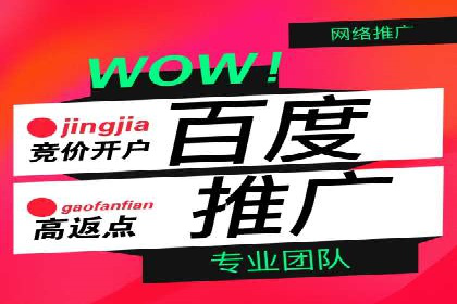 百度推广效果提升，案例分享
